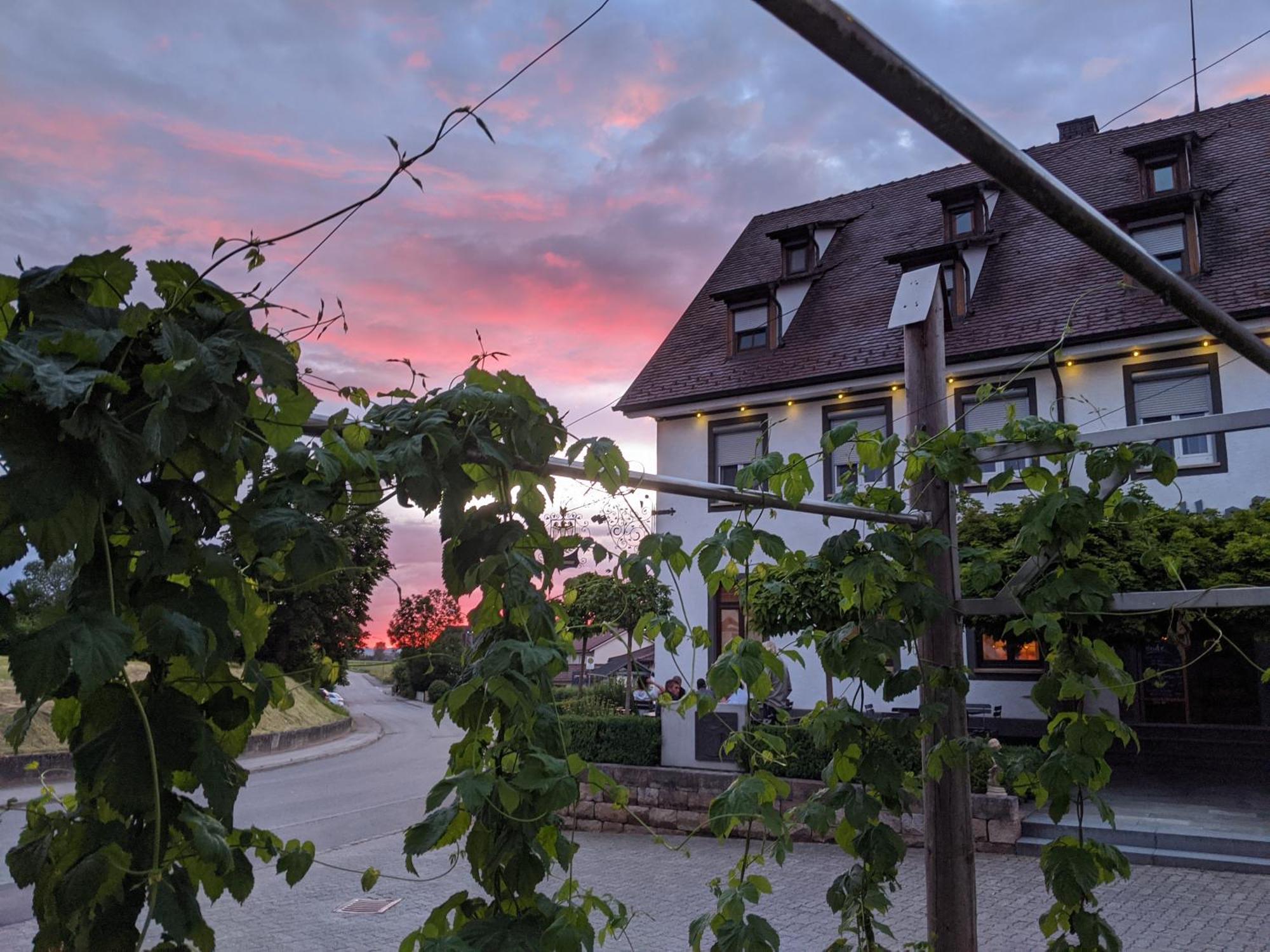 Brauereigasthof Adler Oberstadion Экстерьер фото